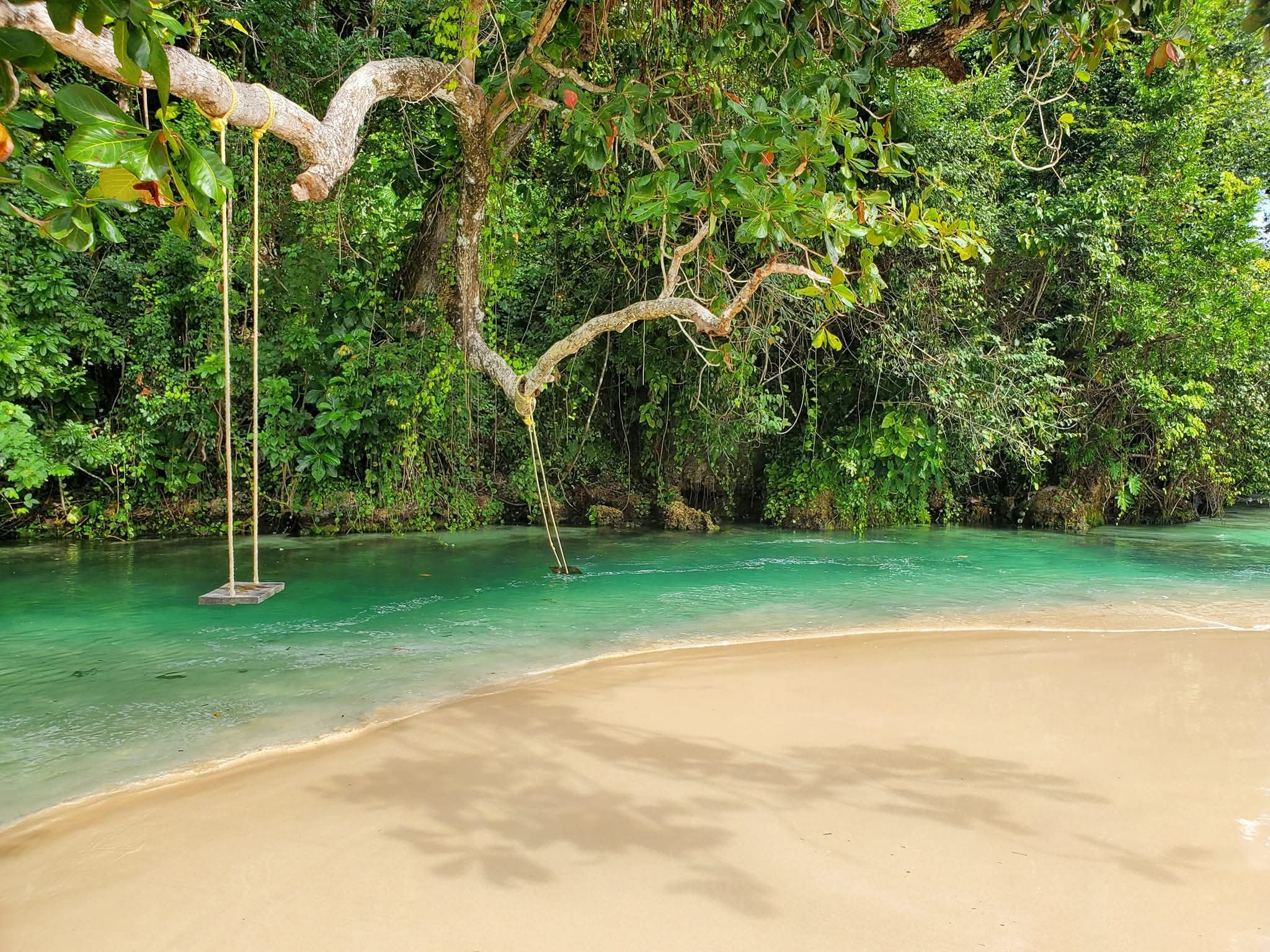 Frenchman’s Cove Swing