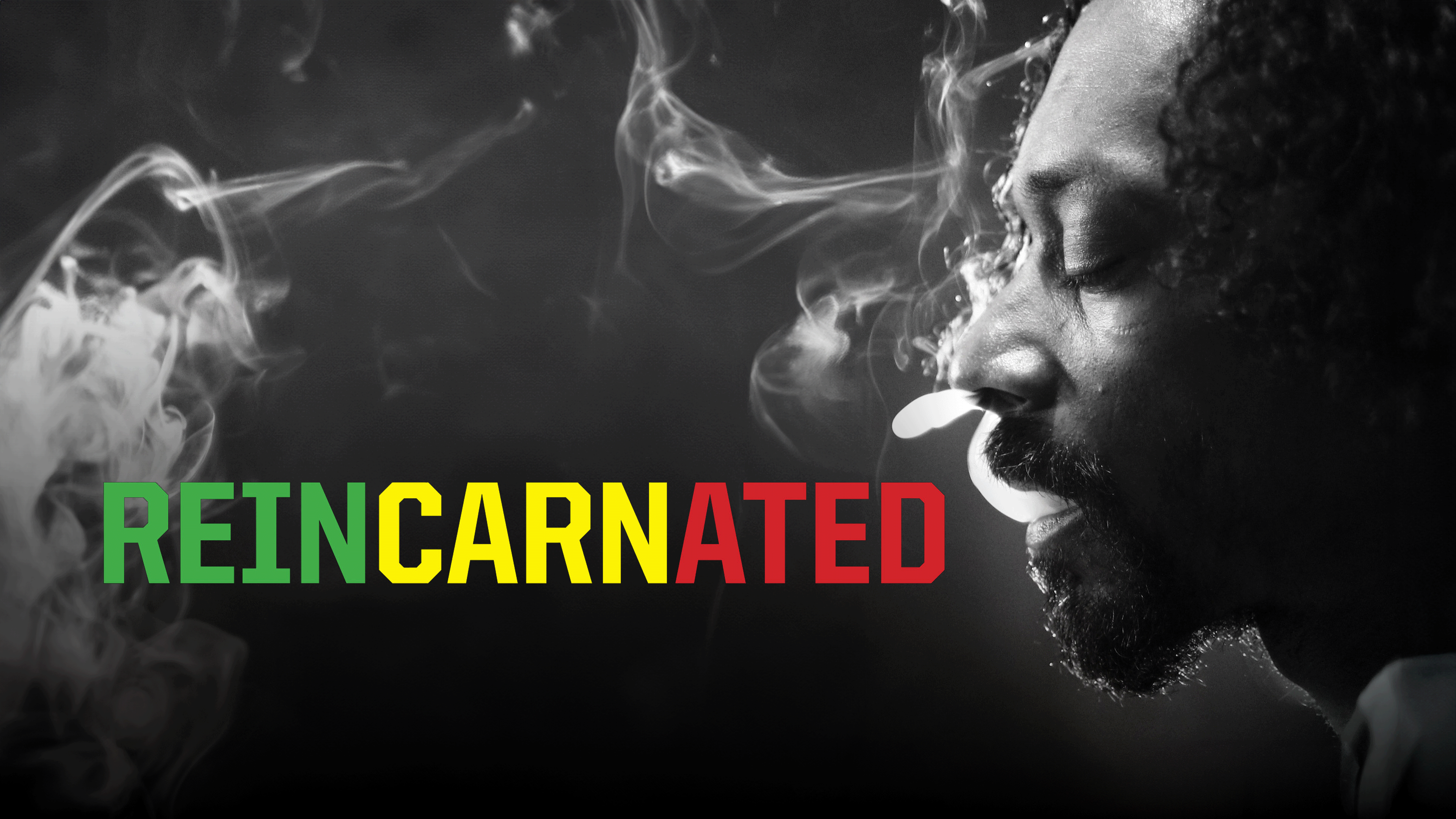 Reincarnated (2013)