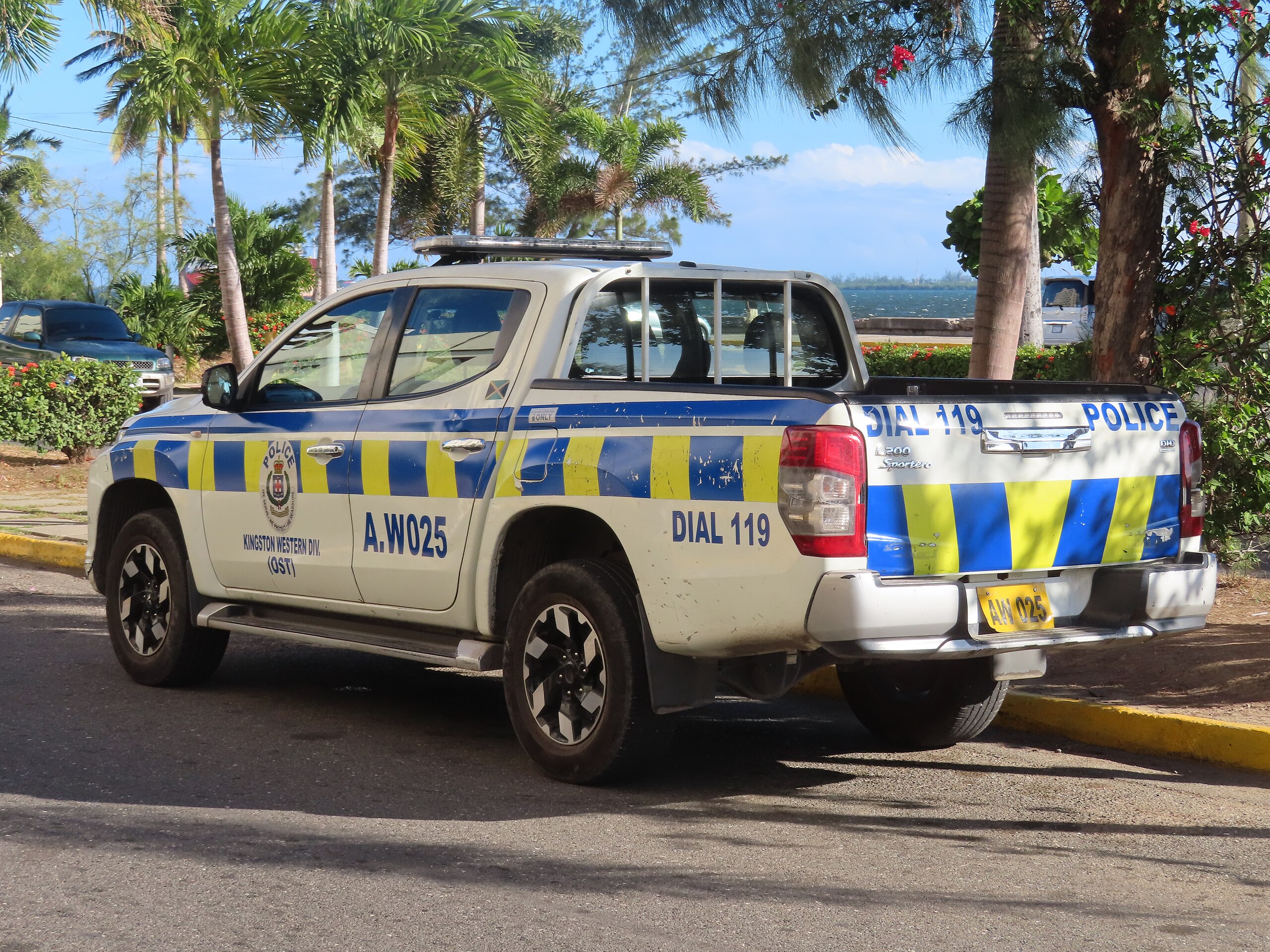 Jamaican police investigate two suspected suicides in St Elizabeth and UWI